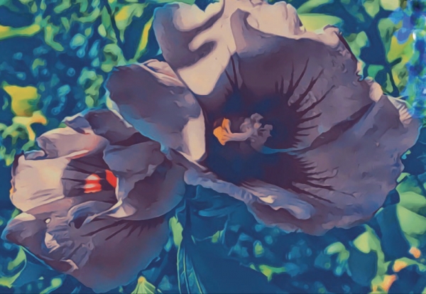 Kim Hong-Ju has written 'Weave a fate' is the 12th poem of 'Thought & Foresight'.