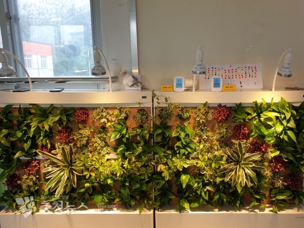 공기정화용 식물정화벽