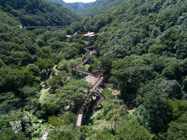 금산신림문화타운