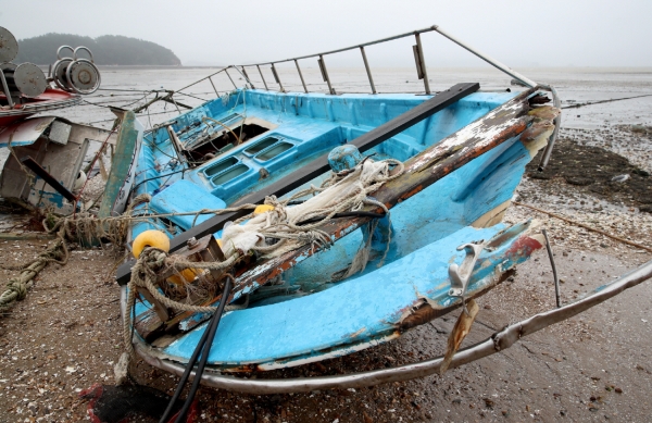 태안군 고남면 강풍피해 현장(가경주항)