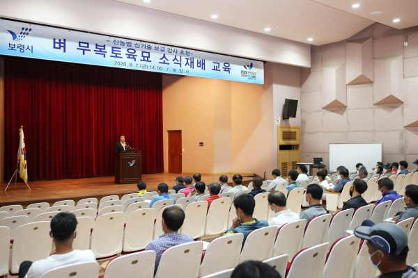 벼 무복토육묘 소식 재배 교육 모습