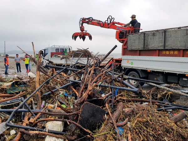 노박래 서천군수, 강풍 피해 현장 응급복구지휘 모습