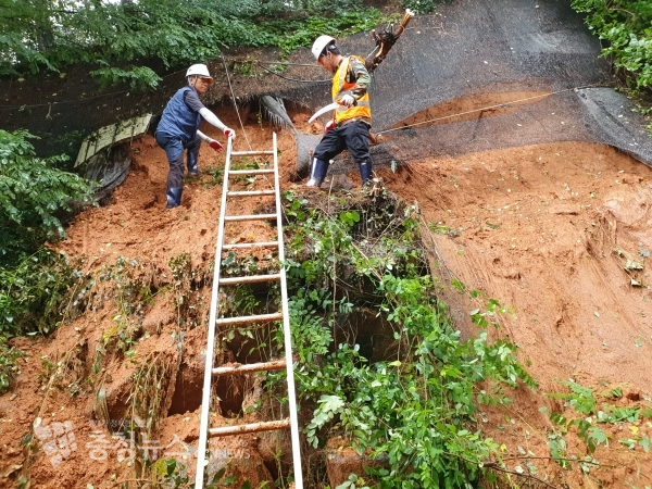 산사태 응급복구 하는 홍성군 산림재해봉사대