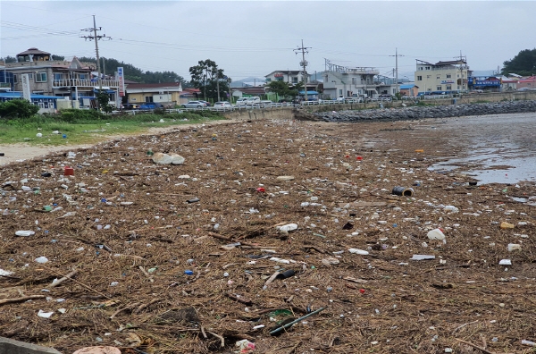 서면 월호리 어촌 마을에 떠내려온 쓰레기