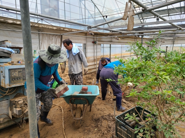 수해복구 자원봉사 모습