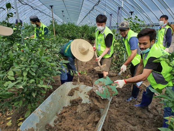 중구자원봉사센터와 대전국제교류센터가 협력하여 농촌지역의 피해복구 자원봉사활동을 실시했다