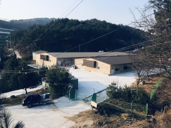 깨끗한 축산농장 관련 사진