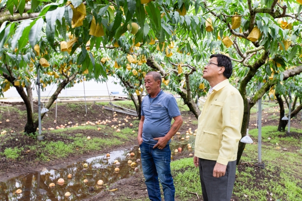 김돈곤 청양군수 농업피해현장 찾아 지원대책 점검 모습
