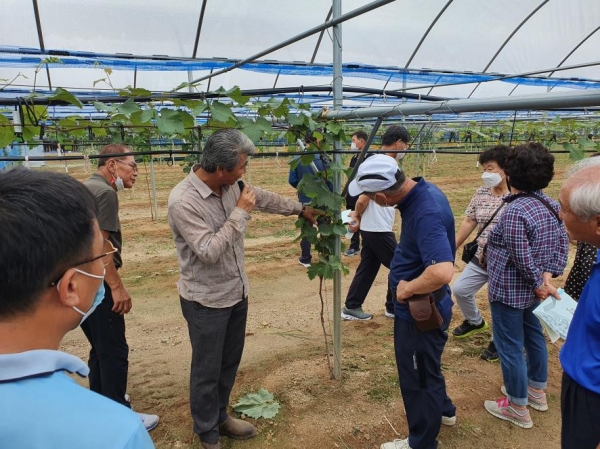 청양군  고품질 샤인머스켓 재배교육 실시