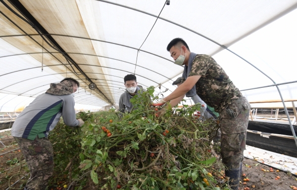 관내 호우피해 농가 지원 모습
