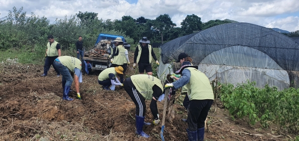영동군 침수주택 토사제거, 폐기물 수거 등 피해 복구 지원 모습