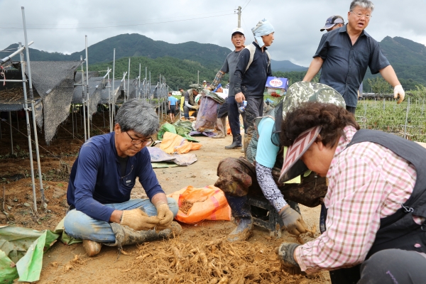 수해 복구에 참여한 자원봉사자들