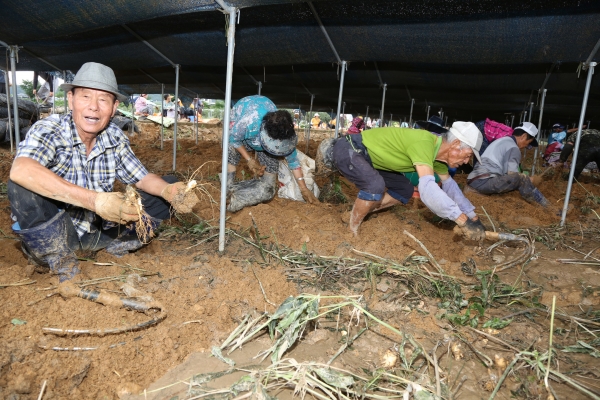 수해 복구에 참여한 자원봉사자들
