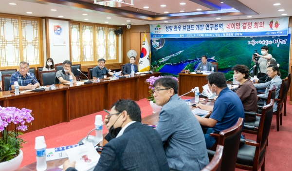 지난 13일 군청 상황실에서 열린 공식명칭 결정회의 개최