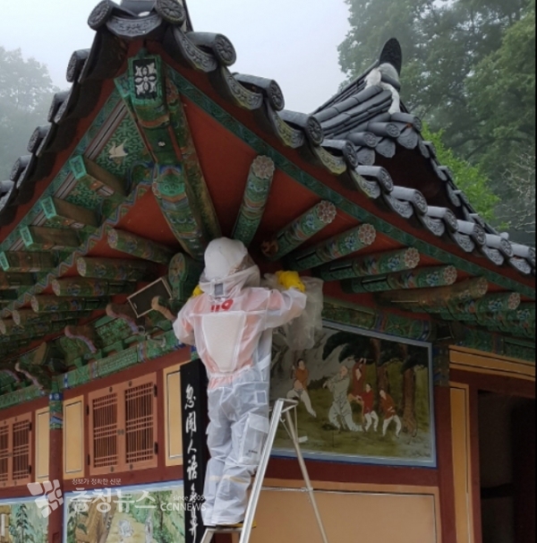 서산소방서, 벌집제거중인 소방대원의 모습