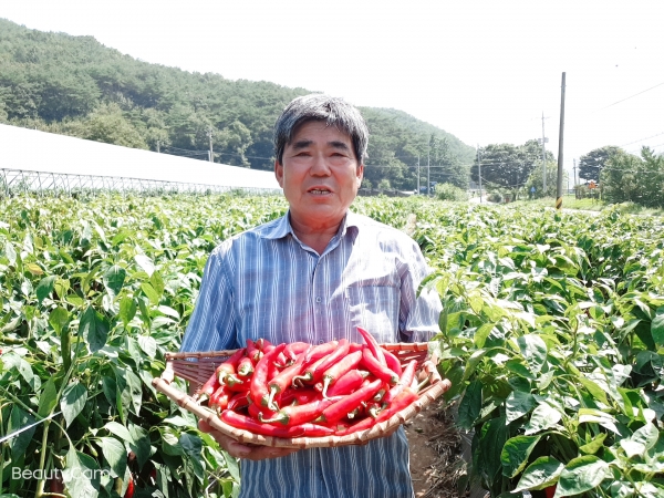 2020 청양고추왕 유정조 씨