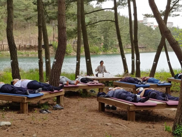 서천군, 산림치유프로그램  (소리 치유 싱잉볼 장면)