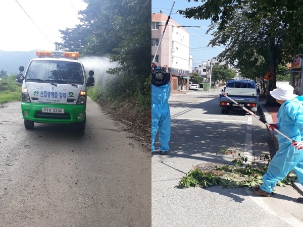 방제차량 소독, 전정가위로 잘라내는 모습