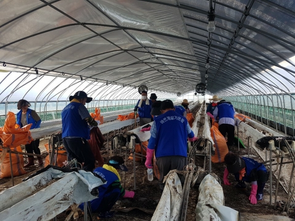 바르게살기운동부여군협의회 수해 피해복구 자원봉사 장면