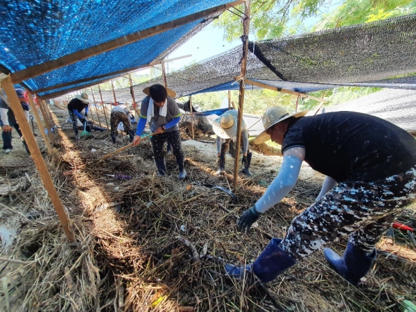 지난 19일 집중호우로 피해를 입은 지역 주민을 돕기 위해 긴급 지원활동 실시