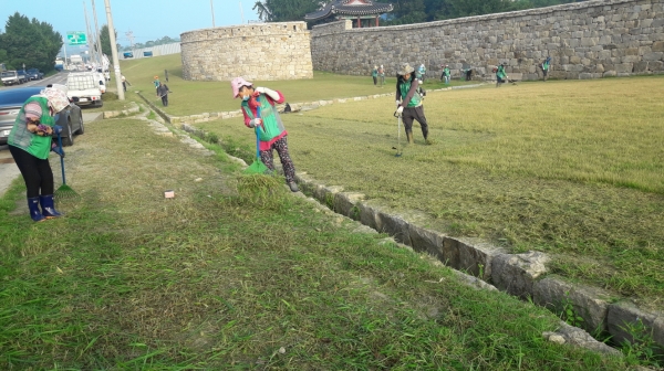 면천읍성 제초작업 사진