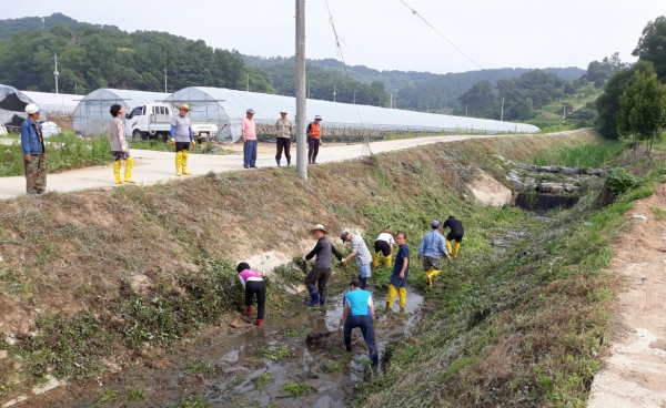 도랑살리기 운동 일환인 ‘레스도랑 데이(Let's 도랑데이)’ 오는 31일까지 추진