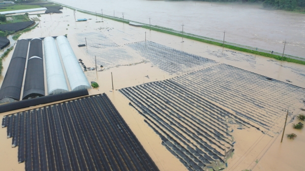 용담댐 방류 수해 현장