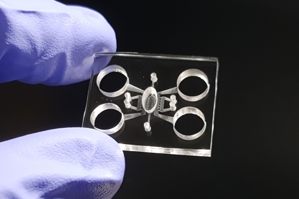 레이저 연쇄 열분해 공법으로 제작된 3차원 장기모사칩