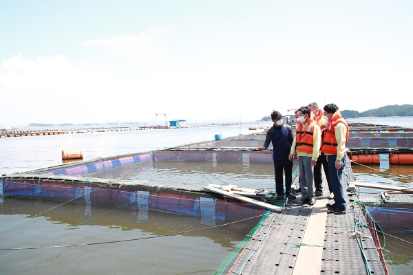 지난 25일 양승조도지사와 천수만 가두리 양식장 점검 모습