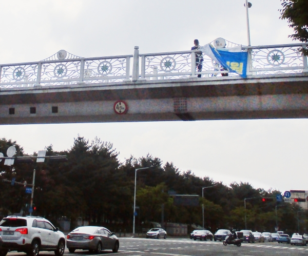 제8호 태풍 ‘바비’가 북상으로 피해를 유발할 수 있는 불법 현수막 및 유동 광고물을 철거하는 등 안전사고 예방 점검 모습