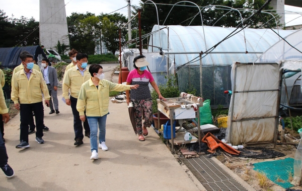신대동 농경지 침수 및 비닐하우스 단지 점검모습