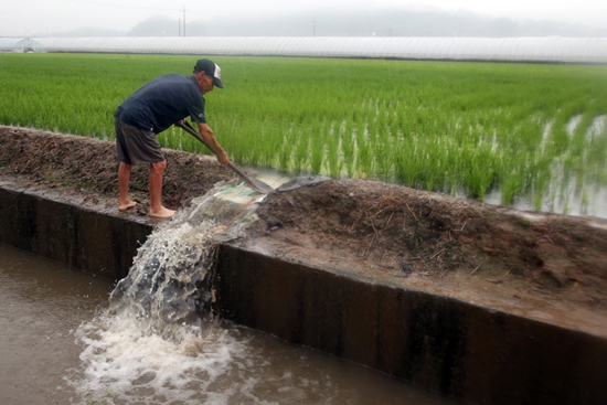 태풍 후 철저한 농작물 관리 당부