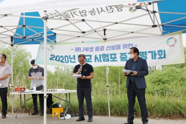 명품 해나루쌀 품종 선발을 위한 현장평가회 개최