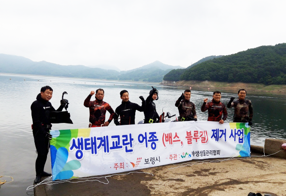 생태계 교란어종 퇴치 장면