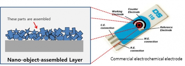 전기화학식 나노바이오센서의 표면에 조립된 나노물체조립층 모식도.