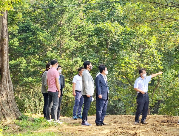 장종태 서구청장, 노루벌 현장점검 모습