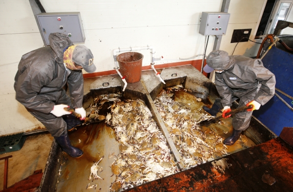 폐수산물 활용 액비 모습