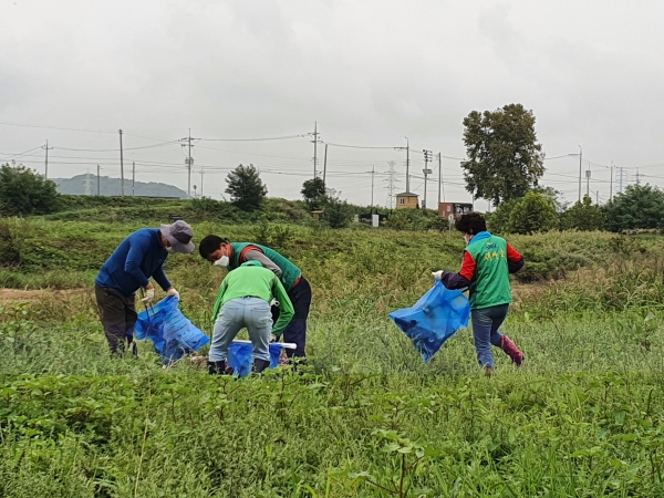 대청소 참여자들이 배방읍 일원에서 환경정비활동을 펼치고 있다
