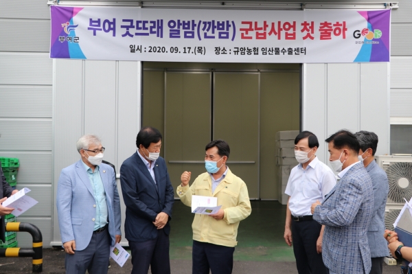 굿뜨래 부여알밤 군납 첫 출하 장면