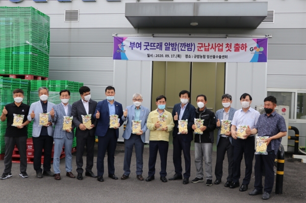 굿뜨래 부여알밤 군납 첫 출하 장면