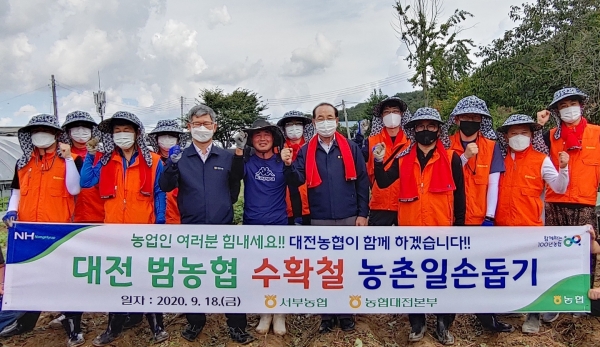 수확철 농촌일손돕기 봉사 모습