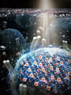 티타늄 도핑된 인화 몰리브덴의 수소 발생 반응 메커니즘 모식도.