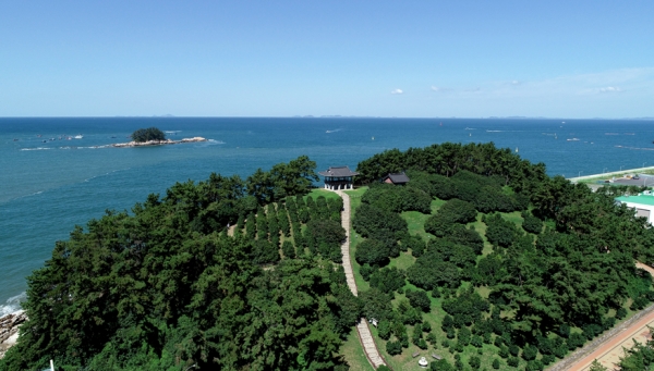 마량리 동백나무숲