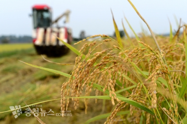 홍동면 금당리의 한 농가