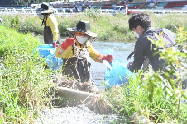 24일 뿌리공원 만성교 인근 하부하천을 청소하는 박용갑 중구청장