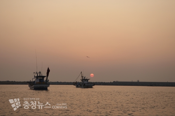 남당항 일몰