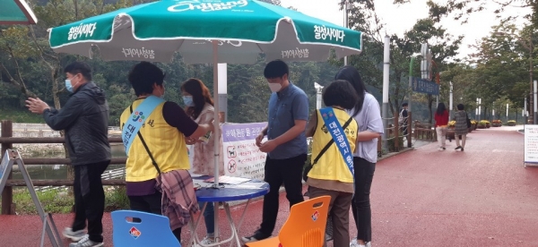 대전 중구 뿌리공원에서 봉사활동 하는 중구청 공무원 모습