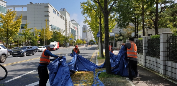 은행 털이 작업 후 뒷정리하는 모습