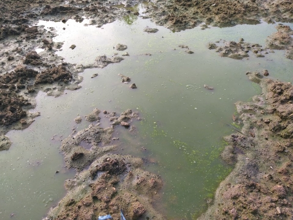 유성구 한 농지에 비료가 쌓여 토양이 오염된 모습