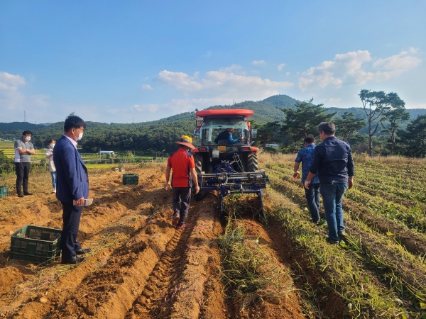 고구마수확기 시연모습